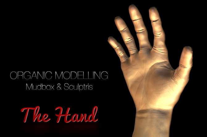 The Hand – Organic Modelling