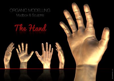 The_hand_Presentation